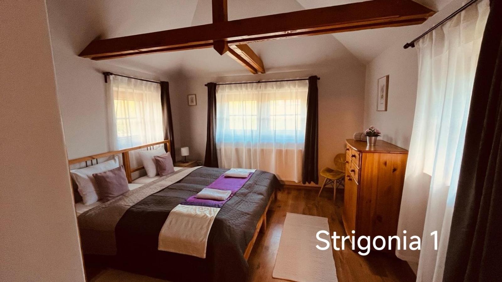 Strigonia Apartman Estergon Dış mekan fotoğraf