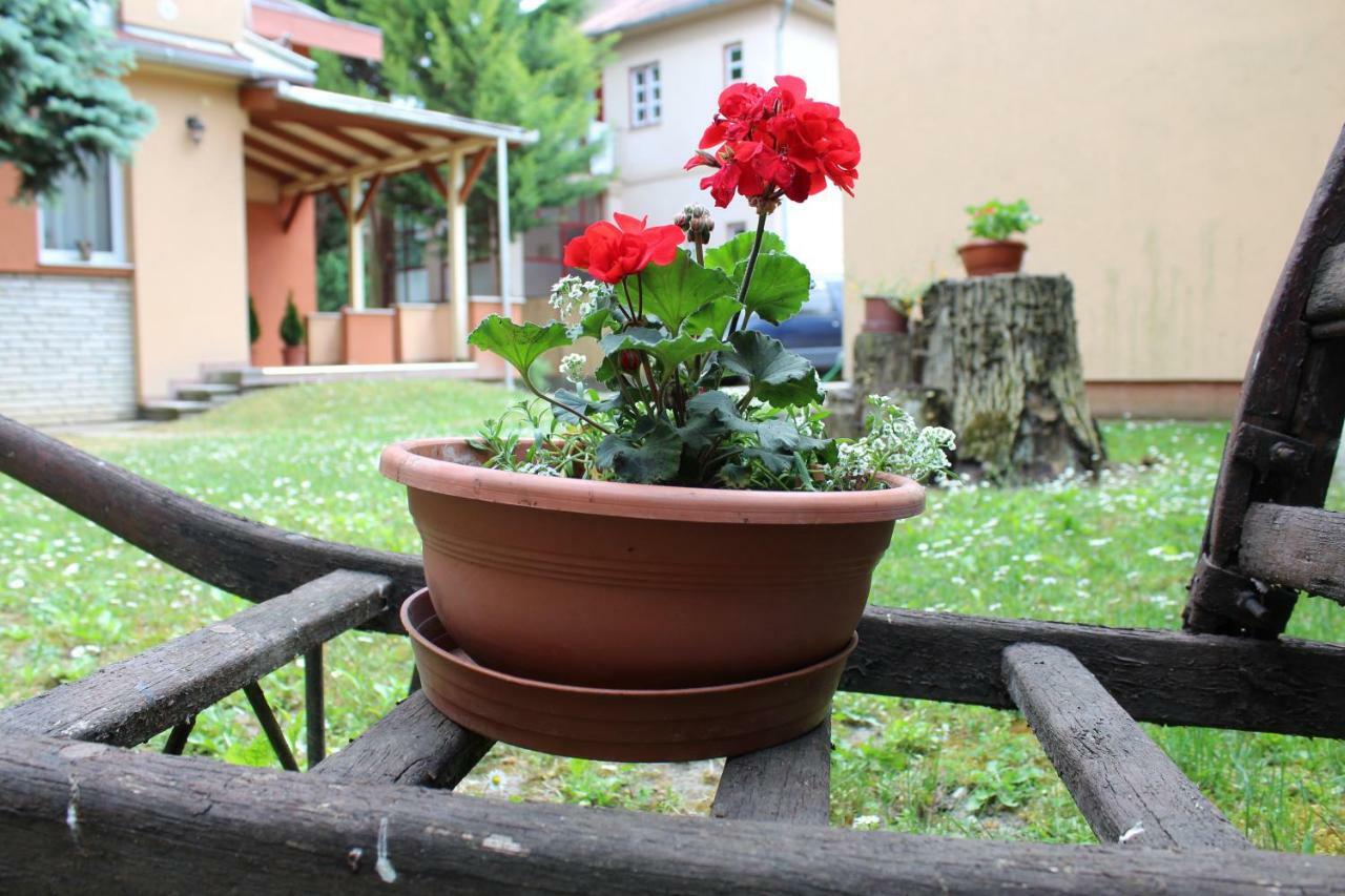Strigonia Apartman Estergon Dış mekan fotoğraf